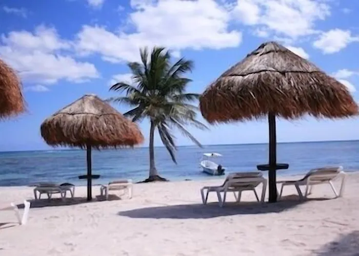 Pavoreal Tulum