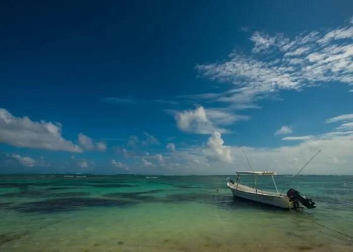 Pavoreal 4* Tulum